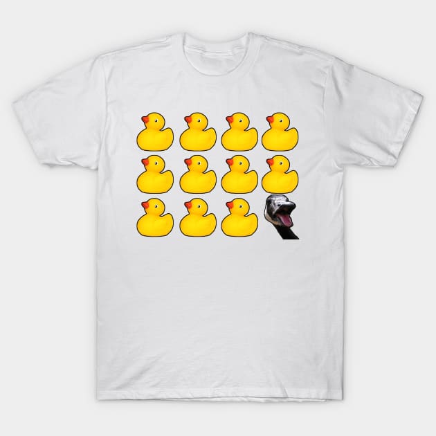 Duck, duck, duck, goose T-Shirt by TwistedPenguin